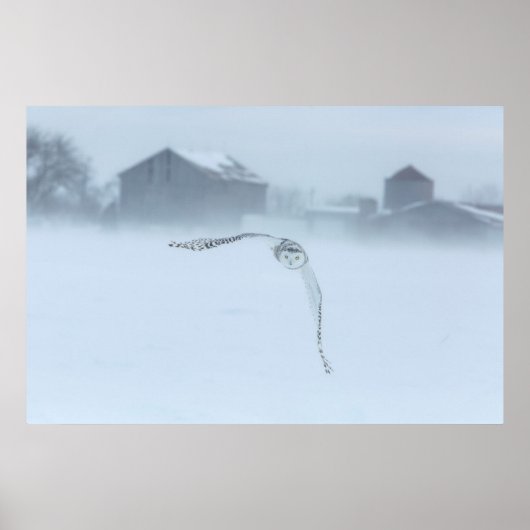 Schneeauschale im Winter Poster (Vorne)