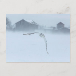 Schneeauschale im Winter Postkarte