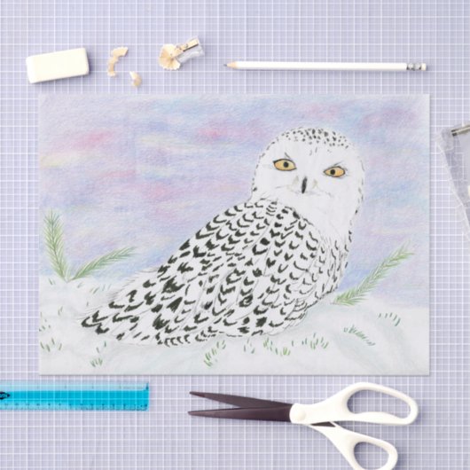 Schneeauschale im Winter Sonnenuntergang Farbstift Seidenpapier (Handwerk)