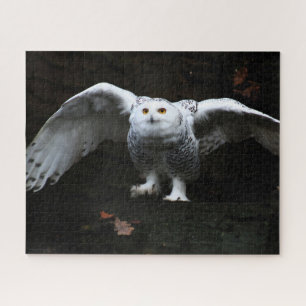 Schneeauschale mit offenen Flügeln 16x20 520pc jpc Puzzle