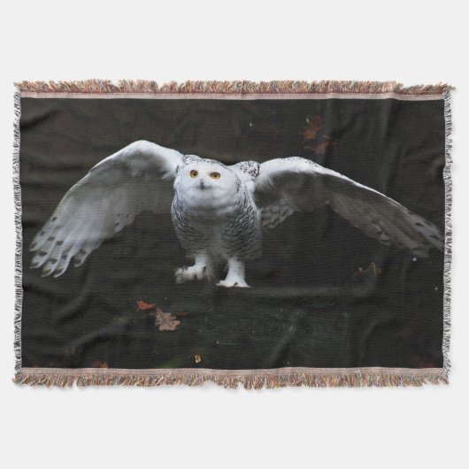 Schneeauschale mit offenen Flügeln tbcna Decke (Vorderseite)