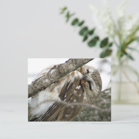 Schneeauschale Postkarte (Stehend Vorderseite)