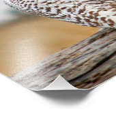 Schneeauuling. Fotodruck (Ecke)