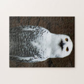 Schneeauwl 11x14 252pc jpcna puzzle (Horizontal)