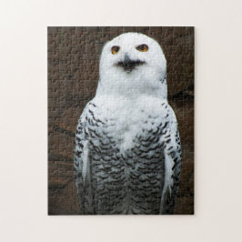 Schneeauwl 11x14 252pc jpcna puzzle