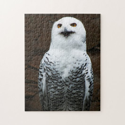 Schneeauwl 11x14 252pc jpcna puzzle (Vertikal)