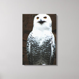 Schneeauwl 16x24 (40x60cm) Waccnm Leinwanddruck