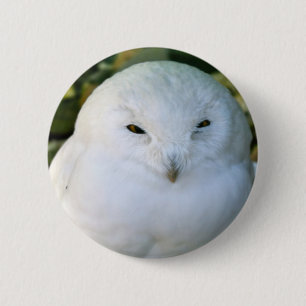 Schneeauwl Button