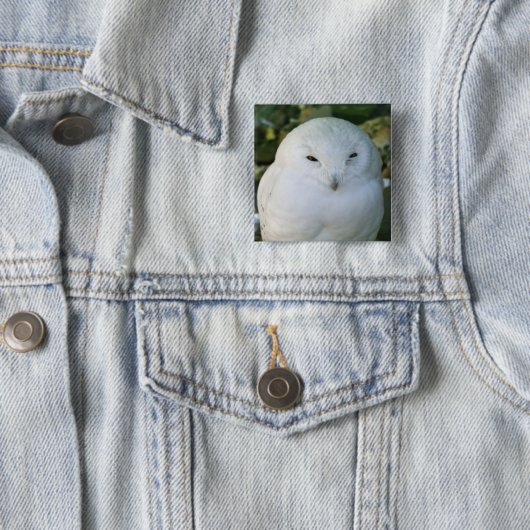 Schneeauwl Button (Beispiel)