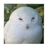 Schneeauwl Fliese (Vorderseite)