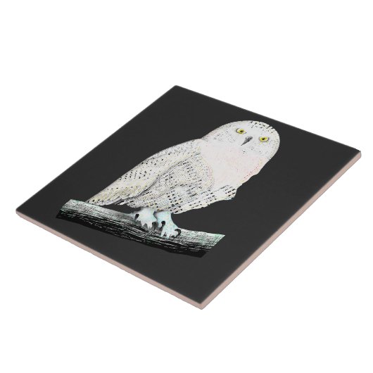 Schneeauwl Fliese (Seite)