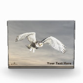 Schneeauwl Fotoblock (Vorderseite)