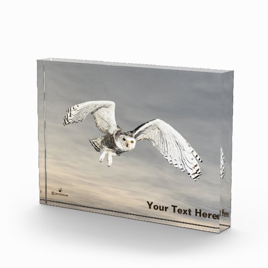 Schneeauwl Fotoblock (Rechts)