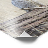 Schneeauwl Fotodruck (Ecke)