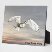 Schneeauwl Fotoplatte (Seite)