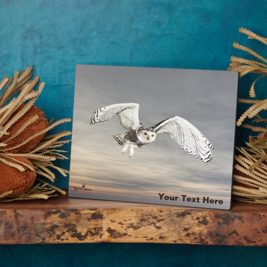 Schneeauwl Fotoplatte (Seite)