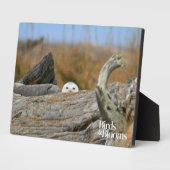 Schneeauwl Fotoplatte (Seite)