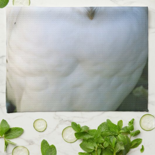 Schneeauwl Küchentuch (Gefaltet)