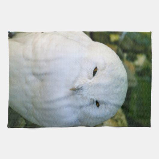 Schneeauwl Küchentuch (Horizontal)