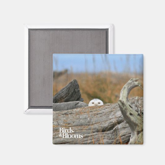 Schneeauwl Magnet (Vorderseite/Rückseite)