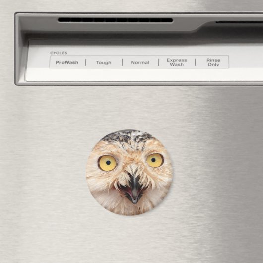 Schneeauwl Magnet (In Situ (Geschirrspüler))