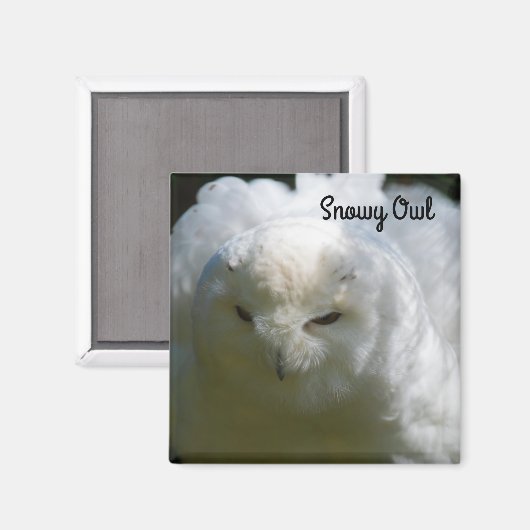 Schneeauwl Magnet (Vorderseite/Rückseite)