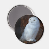 Schneeauwl Magnet (Vorderseite/Rückseite)