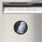 Schneeauwl Magnet (In Situ (Geschirrspüler))