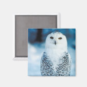 Schneeauwl Magnet (Vorderseite/Rückseite)