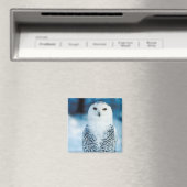 Schneeauwl Magnet (In Situ (Geschirrspüler))
