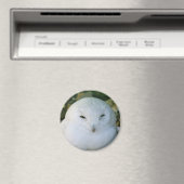 Schneeauwl Magnet (In Situ (Geschirrspüler))