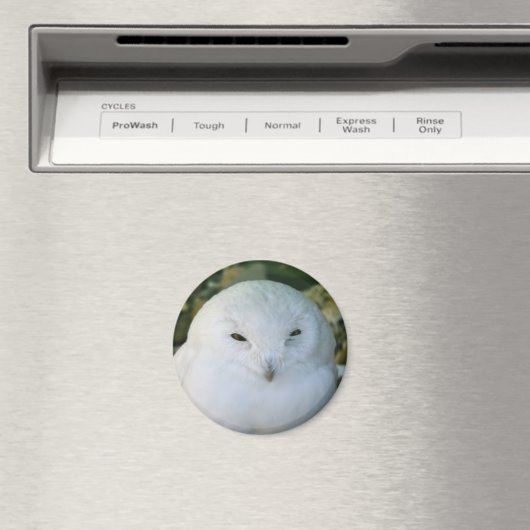 Schneeauwl Magnet (In Situ (Geschirrspüler))