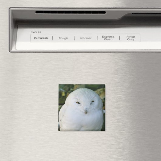 Schneeauwl Magnet (In Situ (Geschirrspüler))