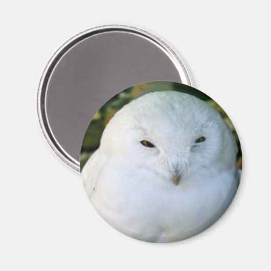 Schneeauwl Magnet (Vorderseite/Rückseite)
