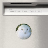 Schneeauwl Magnet (In Situ (Geschirrspüler))