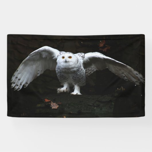 Schneeauwl mit offenem Flügel bnrcnm Banner (Horizontal)