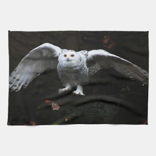 Schneeauwl mit offenen Flügeln ktcna Geschirrtuch (Horizontal)