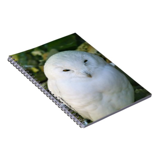 Schneeauwl Notizblock (Rechte Seite)