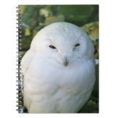Schneeauwl Notizblock (Vorderseite)