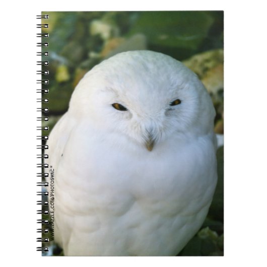 Schneeauwl Notizblock (Vorderseite)