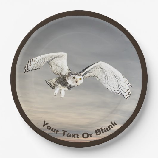 Schneeauwl Pappteller (Vorderseite)