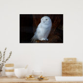 Schneeauwl Poster (Küche)