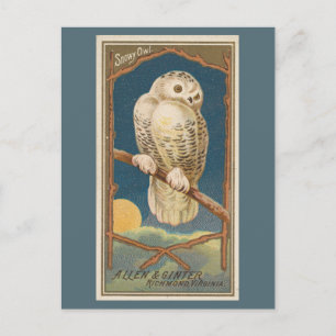 Schneeauwl Postkarte
