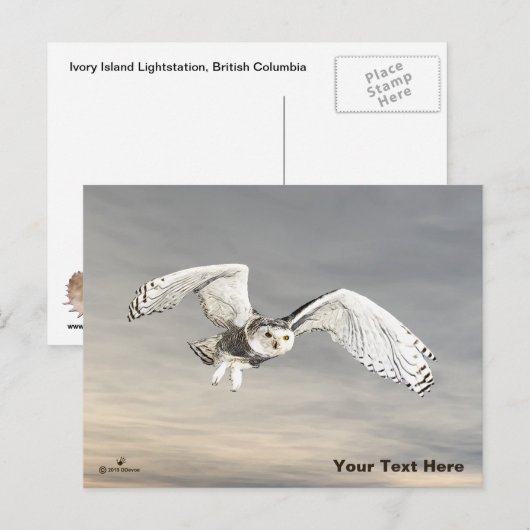 Schneeauwl Postkarte (Vorne/Hinten)