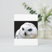 Schneeauwl Postkarte (Stehend Vorderseite)