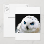Schneeauwl Postkarte (Vorne/Hinten)