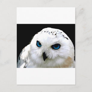 Schneeauwl Postkarte
