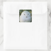 Schneeauwl Quadratischer Aufkleber (Tasche)