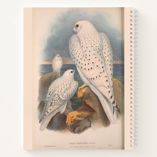 Schneeauwl und Falcon Hardcover Spirale Sketchbook Notizblock (Rückseite)