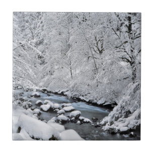 Schneebach Creek, Oregon, landschaftlich schön Fliese